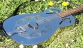 Resonator tra fiori ed erba